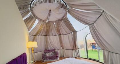 Desert Safari Dubai Over Night Stay #7