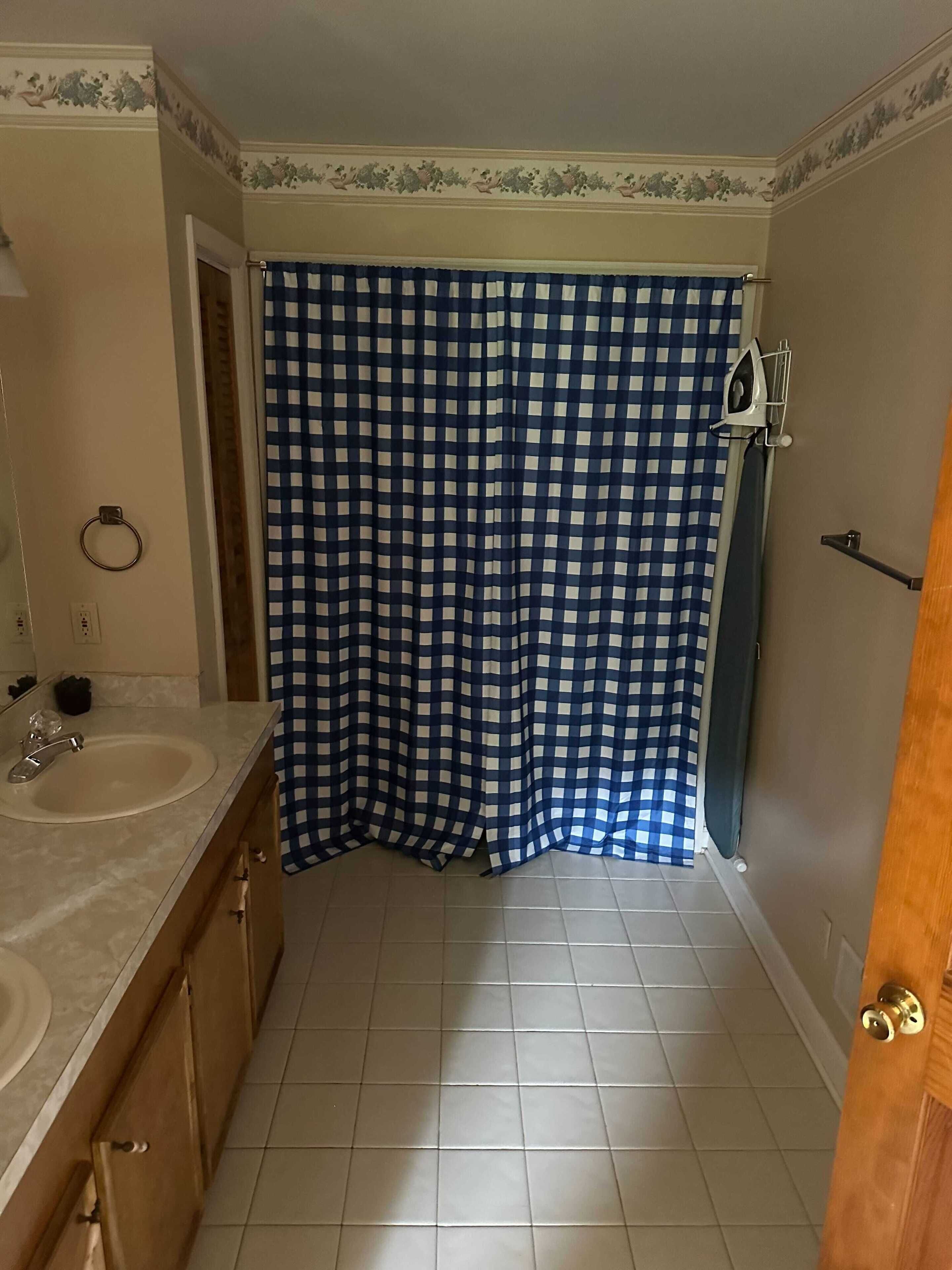 A bathroom with a checkered shower curtain, a sink, and a mirror.