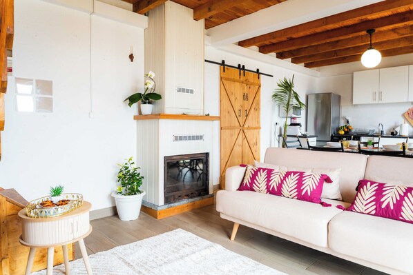 TV, books, computer monitors