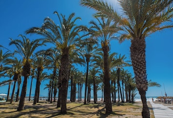 Playa