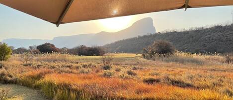 A tented area with a view of a grassy field and distant mountains.