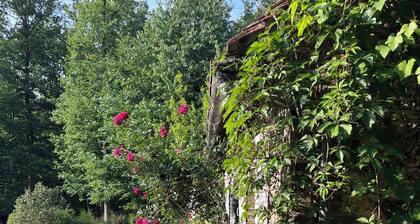 Country house in the heart of a forest offering peace and quiet, 50 minutes from Paris