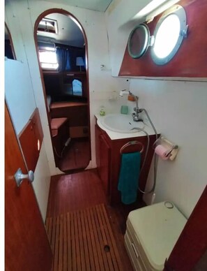 Shower, towels, soap, toilet paper