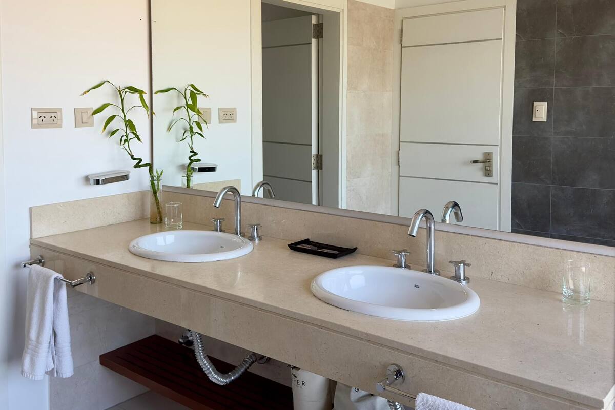 A modern bathroom with two sinks, a large mirror, and a bamboo plant.