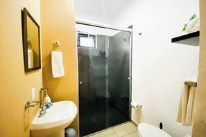 Shower, hair dryer