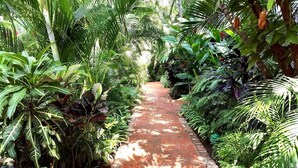 Property grounds - Tropical Oasis Pools, Great Location Near Beach (Puerto Vallarta)