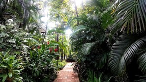 Terrein van de accommodatie