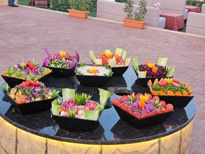 Desert Safari Dubai Over Night Stay #8