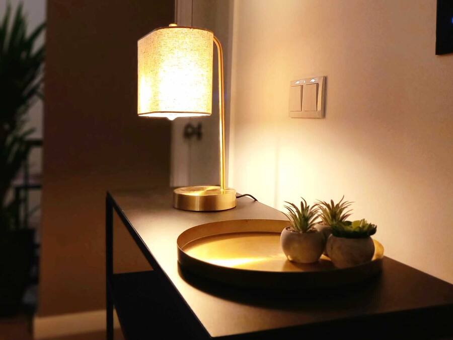 A modern interior with a desk lamp, a small potted plant, and a wall switch.