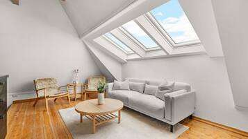 TV, fireplace, video games