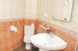 Une salle de bain avec des toilettes, un lavabo et un miroir.