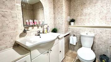 Hair dryer, towels, soap, toilet paper