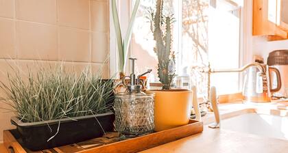 The Clapham Apartment With Private Patio
