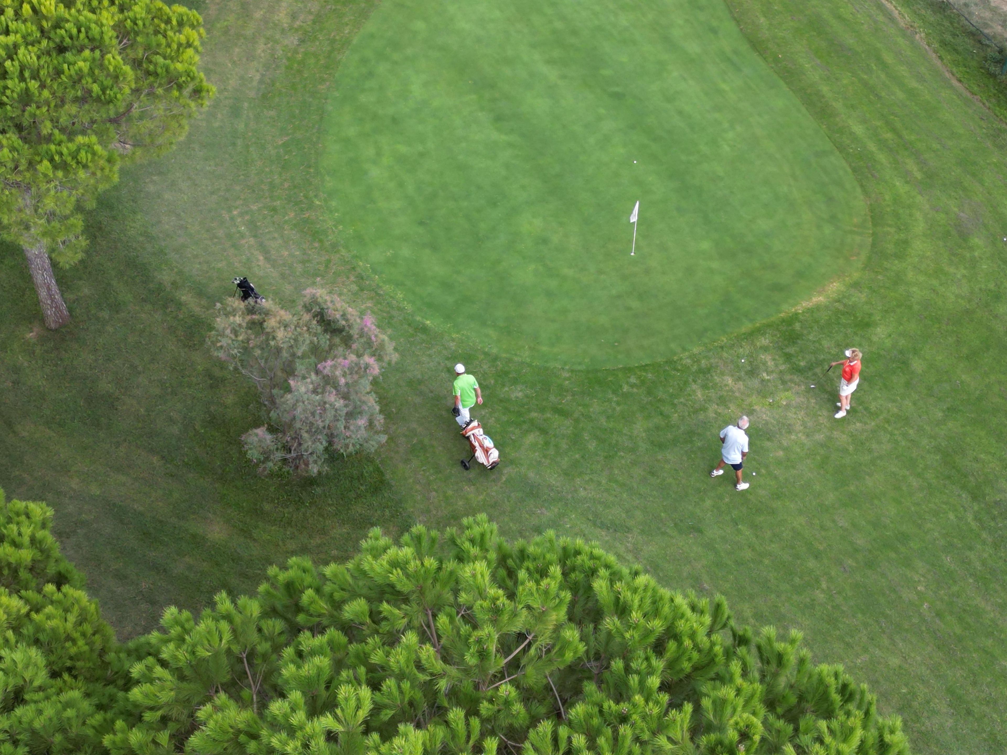 Un campo de golf con un putting green, árboles y jugadores.