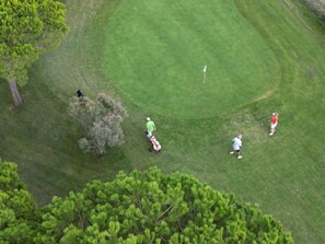 A golf course with a putting green, trees, and players.