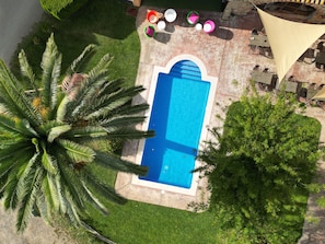 Luchtbeeld van een zwembad omringd door een terras met buitenmeubelen en een grote palmboom.