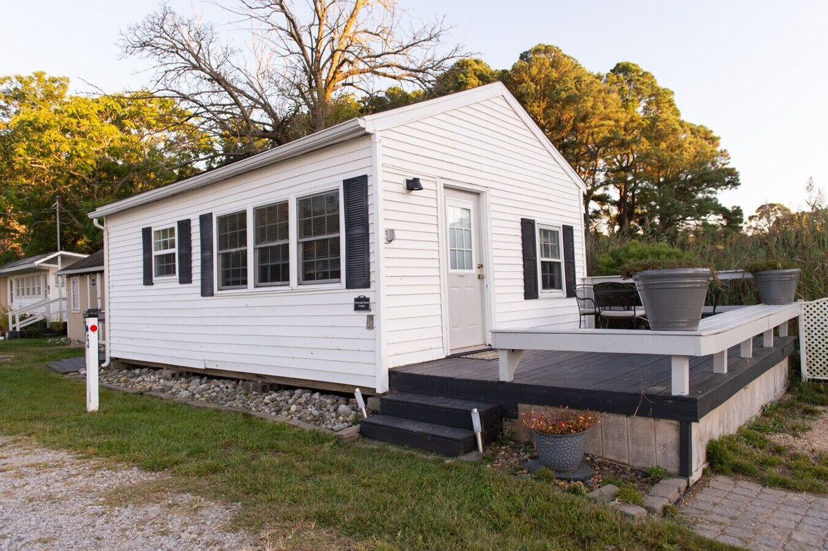 Imagen de perfil del propietario o de la propietaria