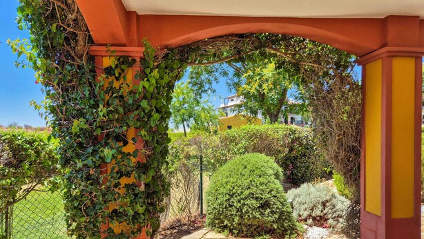 A covered outdoor area with a stone pathway, greenery, and a yellow building in the background.