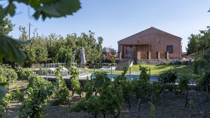 A building with a sloped roof, surrounded by a vineyard and a swimming pool area.