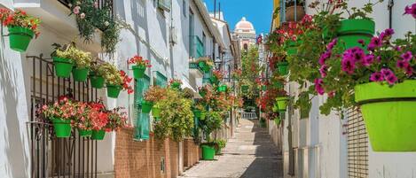 Enceinte de l’hébergement