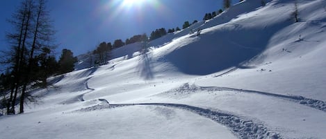 Snow and ski sports