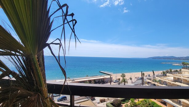 A balcony with a view of the sea, buildings, and a palm tree.