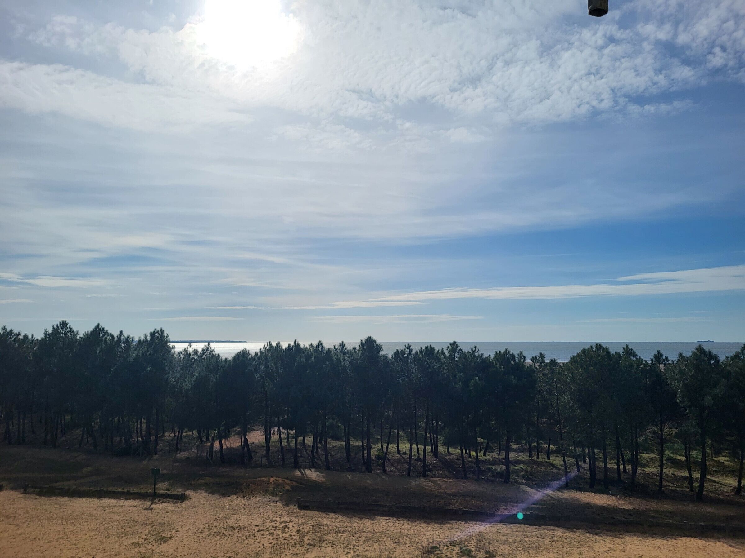 A forested area with a clear sky and a distant view of a body of water.