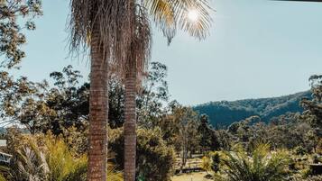 A view from inside a building looking out at a lush, green landscape with palm trees and a distant mountain range.
