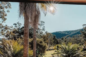 A view from inside a building looking out at a lush, green landscape with palm trees and a distant mountain range. - The Retreat at Wisemans (Sydney)