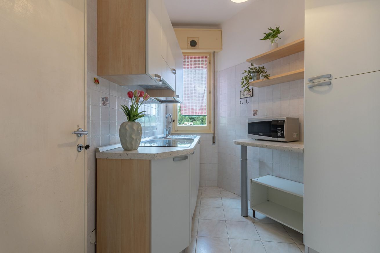Fridge, microwave, stovetop, electric kettle