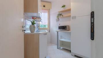 KĂŒhlschrank, Mikrowelle, Herdplatte, Wasserkocher