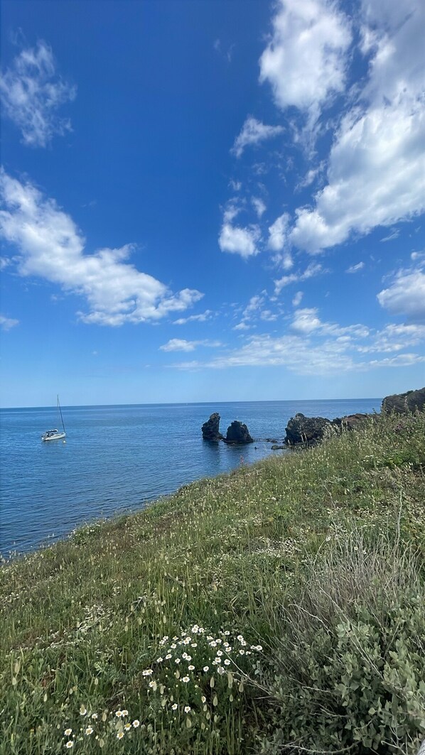 Nära stranden