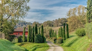A rural road leading to a red house surrounded by neatly trimmed hedges and tall trees. - Villa Vasari - Six Bedroom Villa, Sleeps 12 (Reggello)