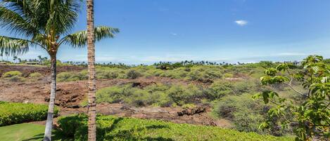 A tropical landscape with a palm tree and lush greenery.