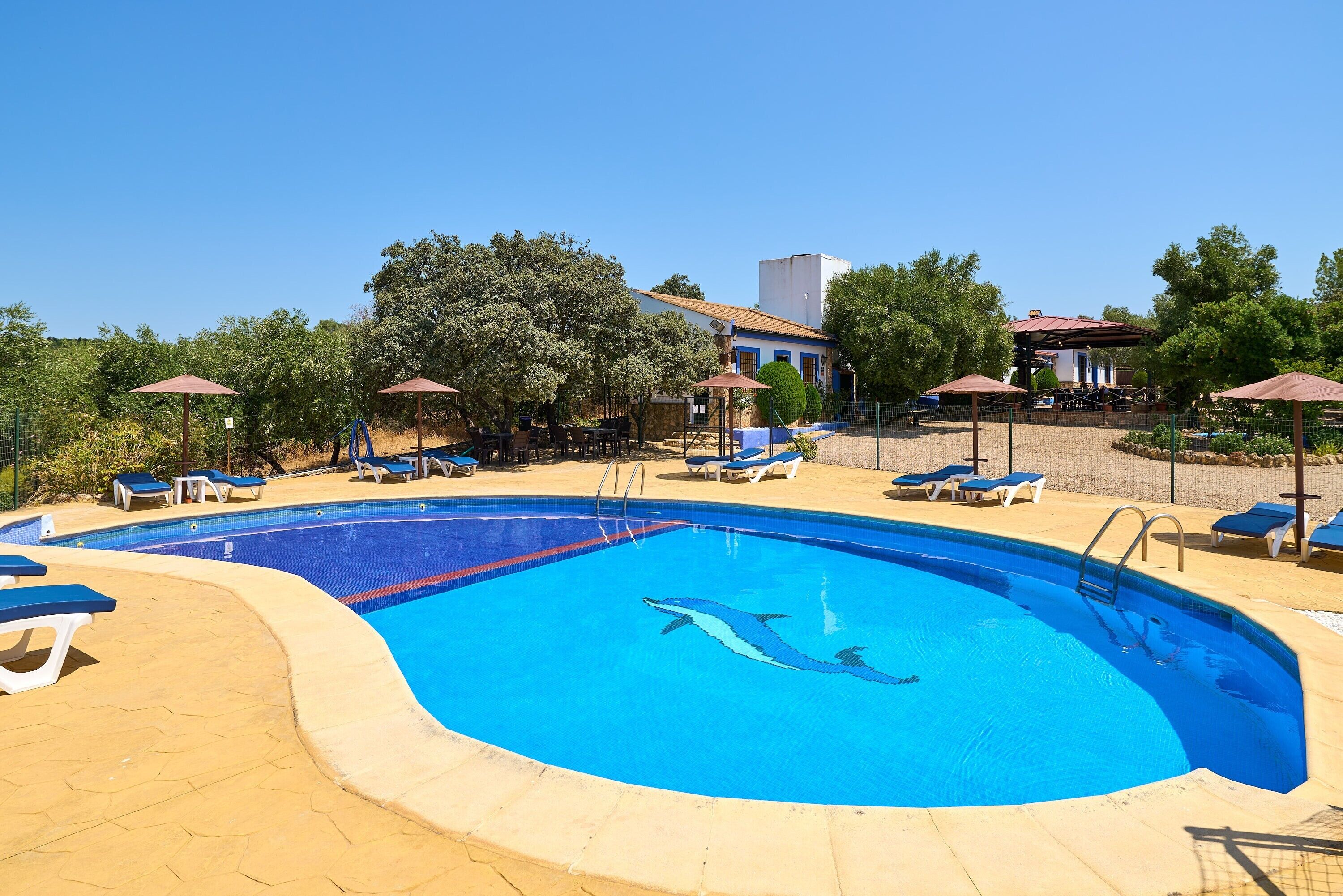 Ein Schwimmbecken mit Delphin-Motiv, umgeben von Liegestühlen und Sonnenschirmen.