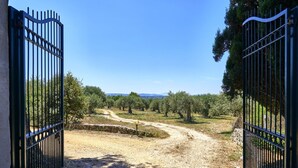 A gated entrance to a property with a dirt path leading through an olive grove. - GuestHost - Relax in the natural park/20 minutes from the sea (Sassari)