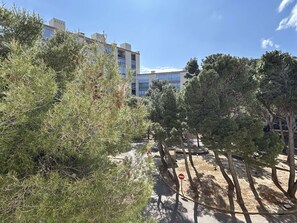 Property grounds - Renovated 2-room apartment with air conditioning in Banyuls-sur-Mer (Banyuls-sur-Mer)