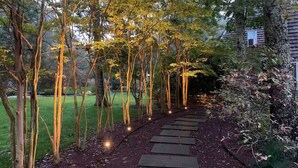 Ein Gartenweg mit Bäumen und einem Haus im Hintergrund.