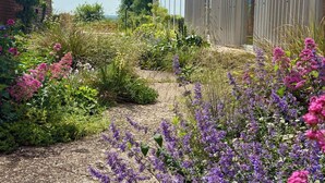 A garden with various plants and flowers, a gravel path, and a building with vertical siding. - South Barns a spacious barn conversion near Cowes. (Cowes)
