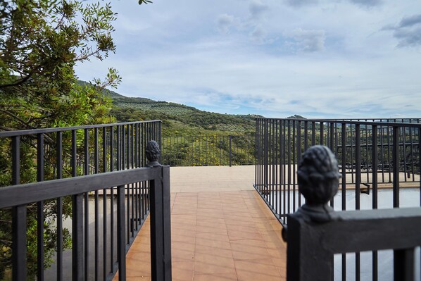 Área da propriedade