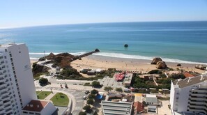 بالقرب من الشاطئ