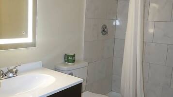 Combined shower/bathtub, hair dryer, towels, soap