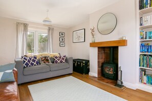 Smart TV, fireplace, books, video library