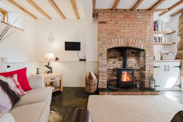 Smart TV, fireplace, books