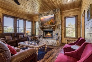 TV connectée, cheminée, livres