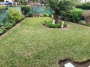 المنطقة المحيطة بالمنشأة