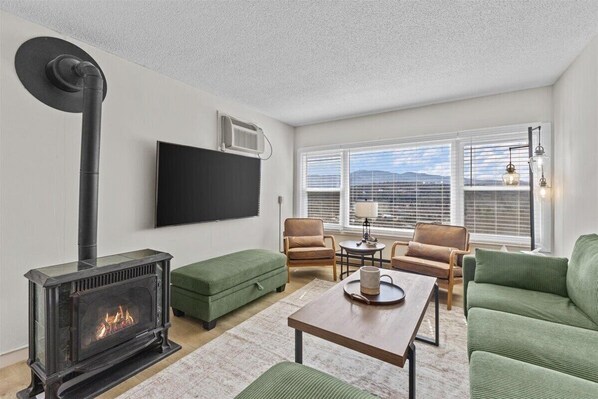 TV, fireplace
