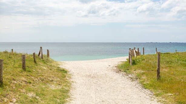 Un sendero arenoso que conduce a una playa, con una valla a cada lado.