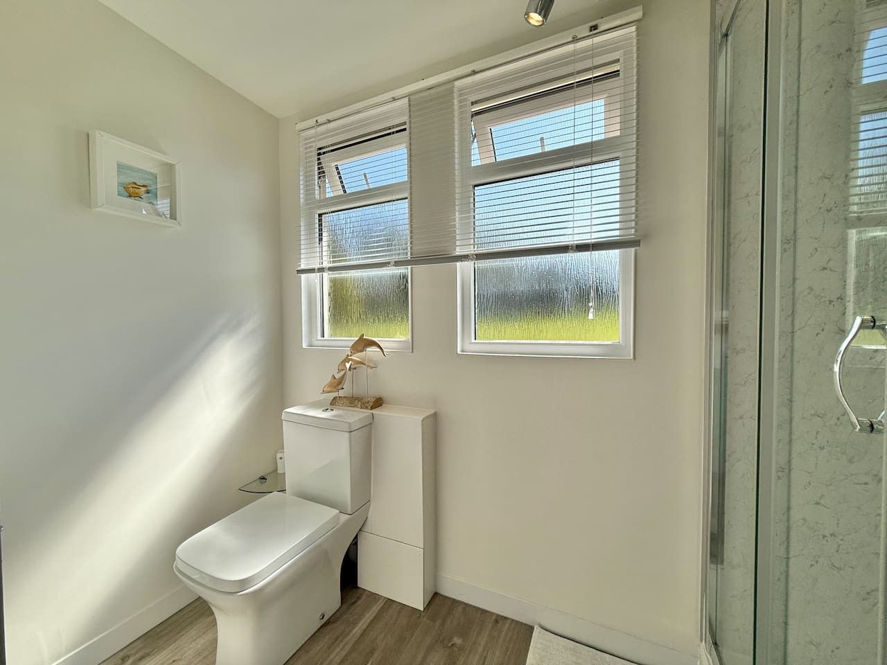 A bathroom with a toilet, a shower, and windows with blinds.
