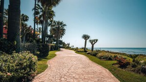 A paved pathway leading to a beach with palm trees and a clear view of the ocean. - Luxury Beachfront Heated Pool & SPA & GYM–EHHouse (Loma Del Monte)